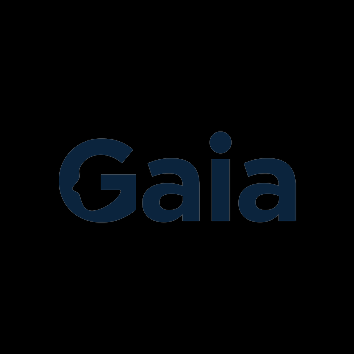 Gaia Technologies - Software Development for Businesses